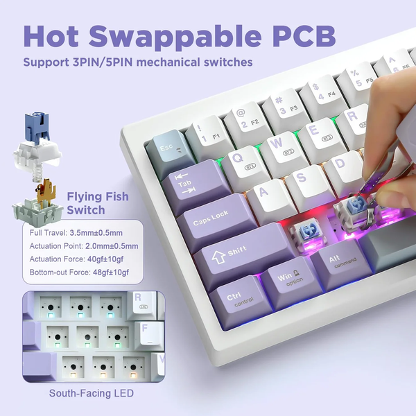 Ajazz AK650 RGB Flying Fish Switch Wireless With Screen (AK650-FF-PWB) Purple