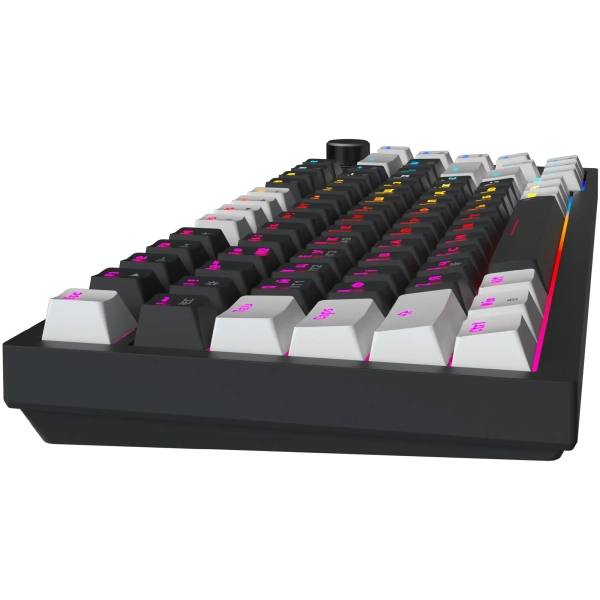 GamePro Asgard Valhalla Pro 75% Rainy switches (MK160B-D-Pro)